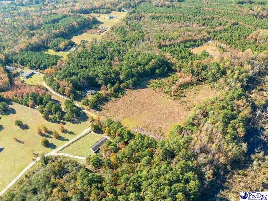 2543 Minus Ln, Effingham, SC 29541 - Image #2
