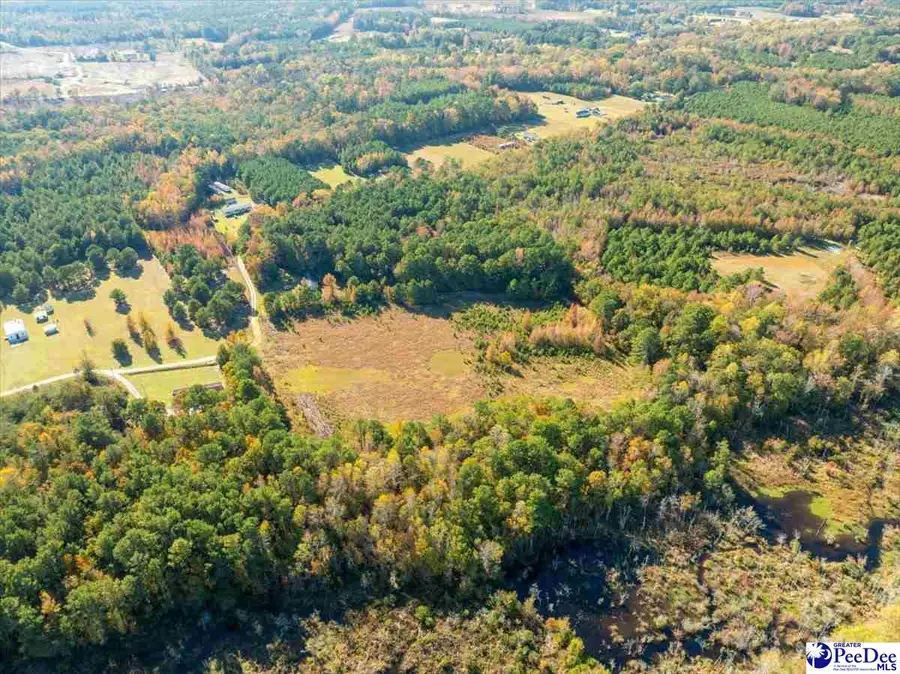 2543 Minus Ln, Effingham, SC 29541 - Image #3