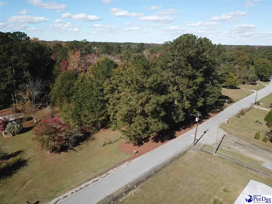 3403 Chisolm Trail, Florence, SC 29505-9286 - Image #3