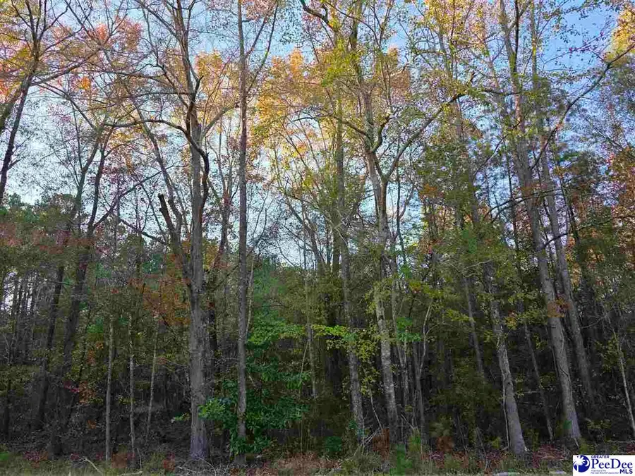 1317 Major Drive, Hartsville, SC 29550 - Image #2