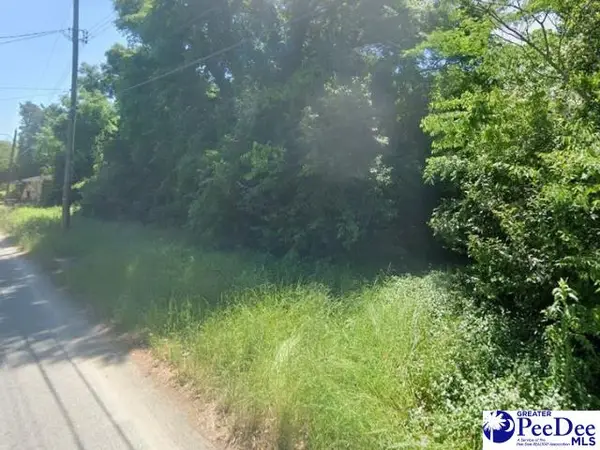 116 Cleveland Street, Darlington, SC 29512