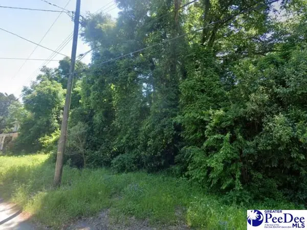 113 Cleveland Street, Darlington, SC 29512