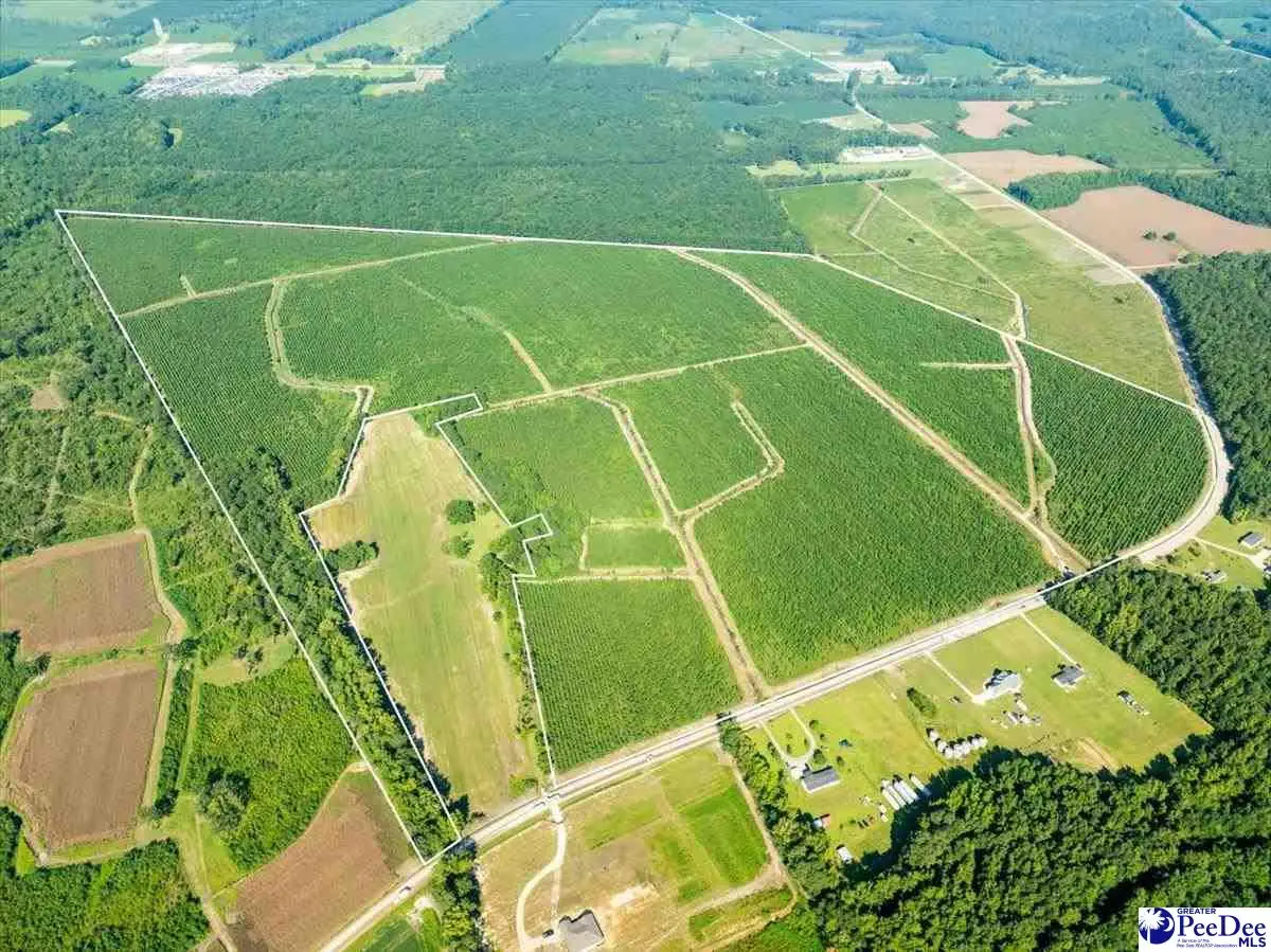 tbd Patty Rd, Cades, SC 29518 - Image #1