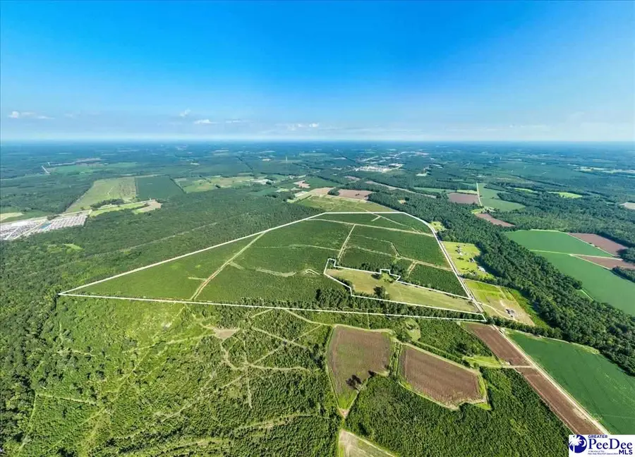 tbd Patty Rd, Cades, SC 29518 - Image #2
