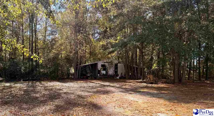 1066 E Twin Church, Timmonsville, SC 29161 - Image #3