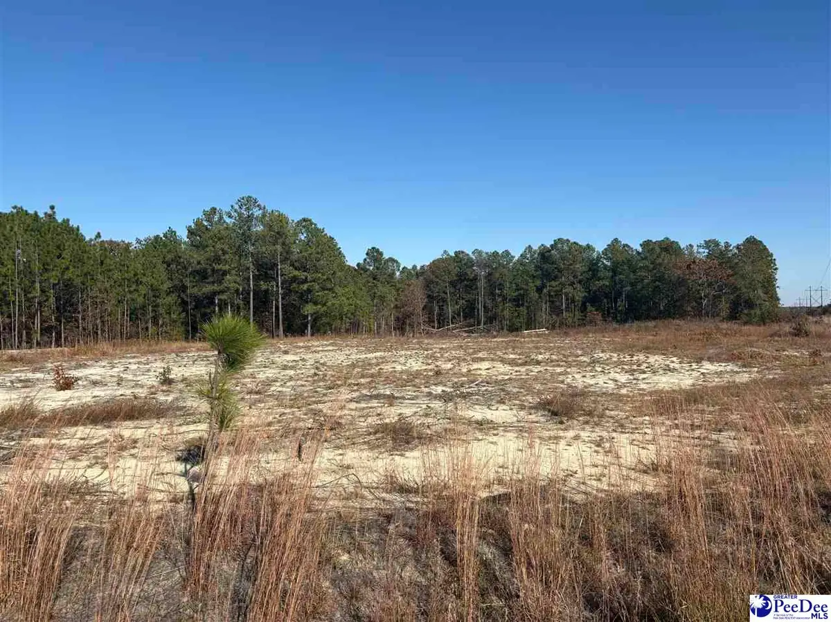 TBD Ruby Rd, Hartsville, SC 29550 - Image #1