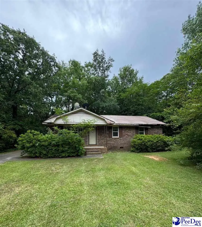 131 Arthur Smith Street, Bennettsville, SC 29512 - Image #1