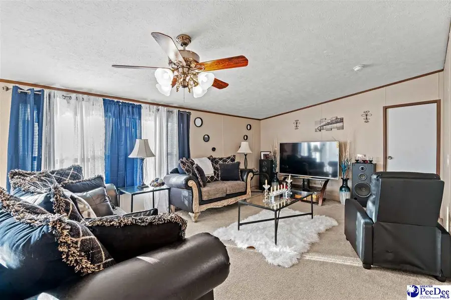 1115 Cartrell Brown Dr, Marion, SC 29571 - Image #2