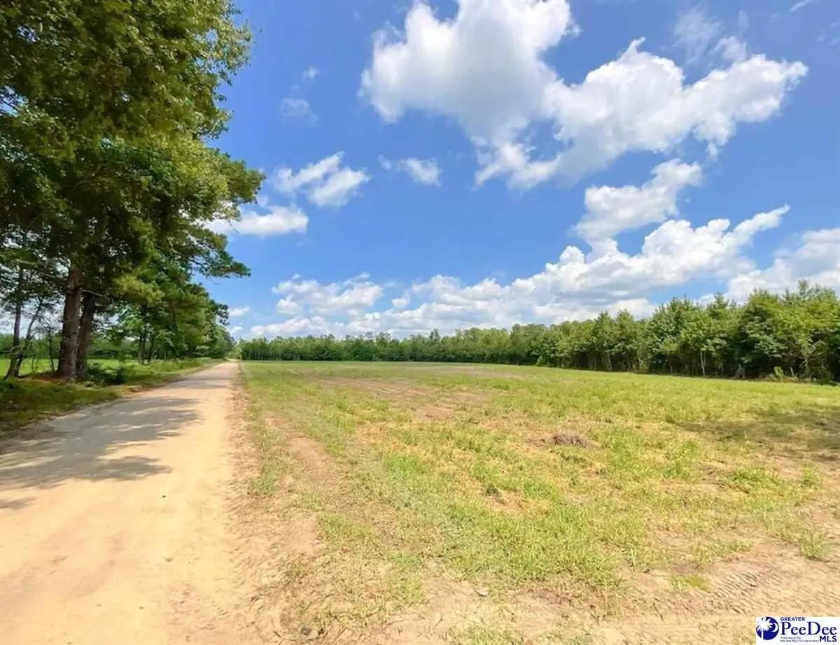 1400 Kelley Rd, Olanta, SC 29114 - Image #1