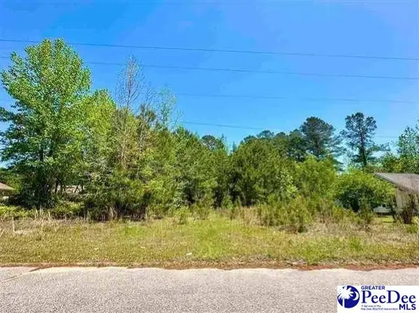 Lot 11 Tara Drive, Florence, SC 29505