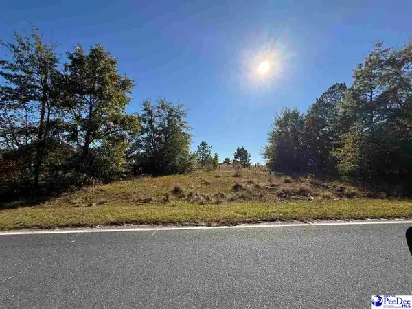 Lot 10 Holly Ave, Mcbee, SC 29709