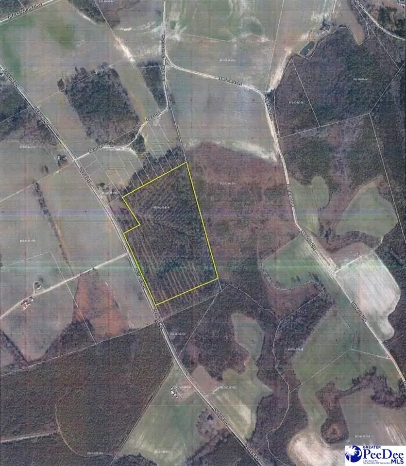 TBD Oliver Road, Hamer, SC 29547 - Image #1