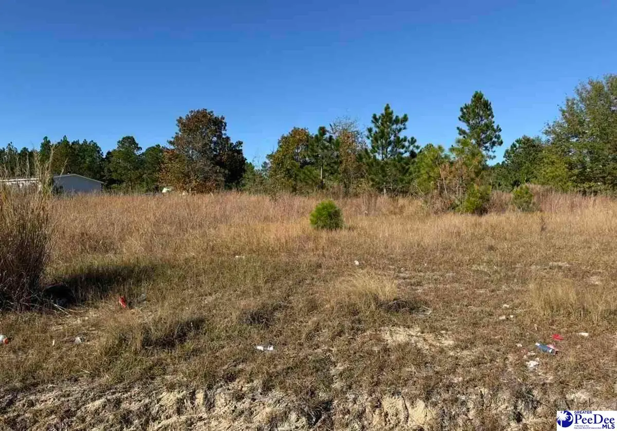 Lot 70 Murray Ln, McBee, SC 29101 - Image #1