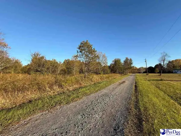 Lot 7 & 8 David Smith Ln, Wallace, SC 29596
