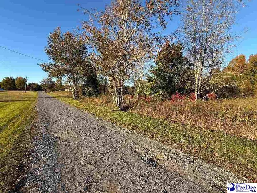 Lot 7 & 8 David Smith Ln, Wallace, SC 29596 - Image #2