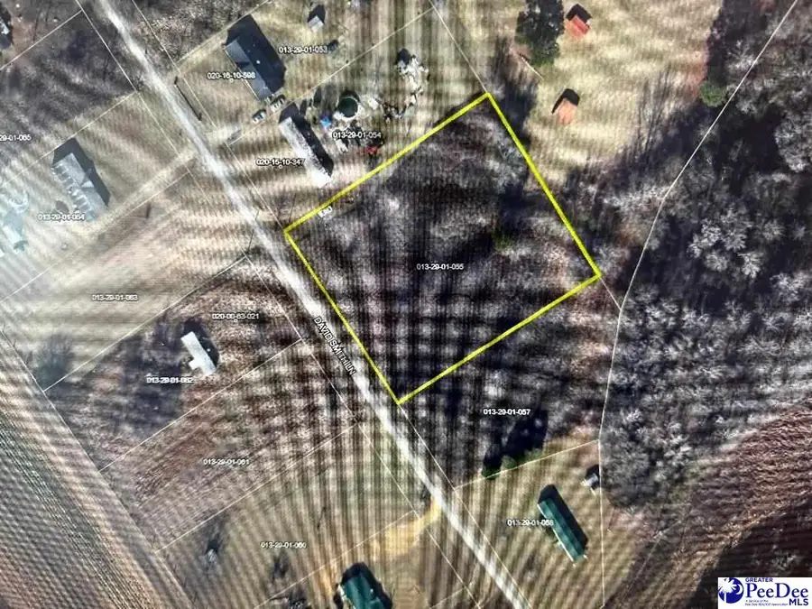 Lot 7 & 8 David Smith Ln, Wallace, SC 29596 - Image #3