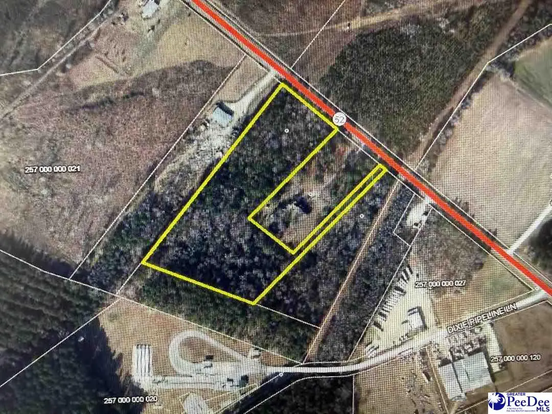 7.84 +/- Tract N Hwy 52, Cheraw, SC 29520 - Image #1