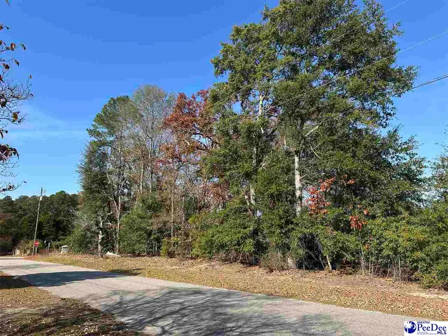 Lot 57 Berry Road, Latta, SC 29565 - Image #2