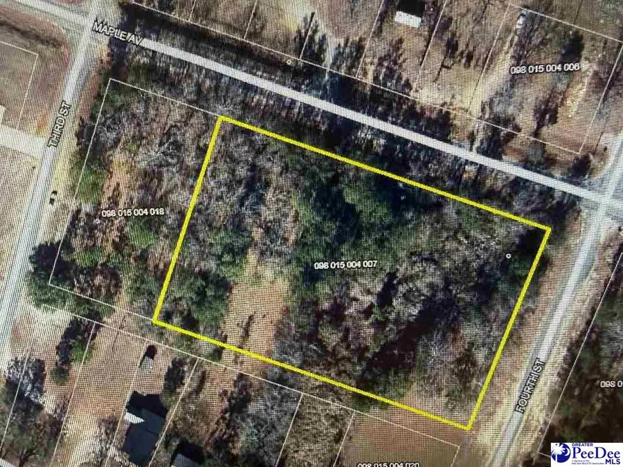 Lot 9-14 Maple Ave, McBee, SC 29101 - Image #3