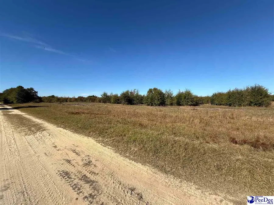 Lot 28 Norwood Farm, McBee, SC 29101 - Image #2