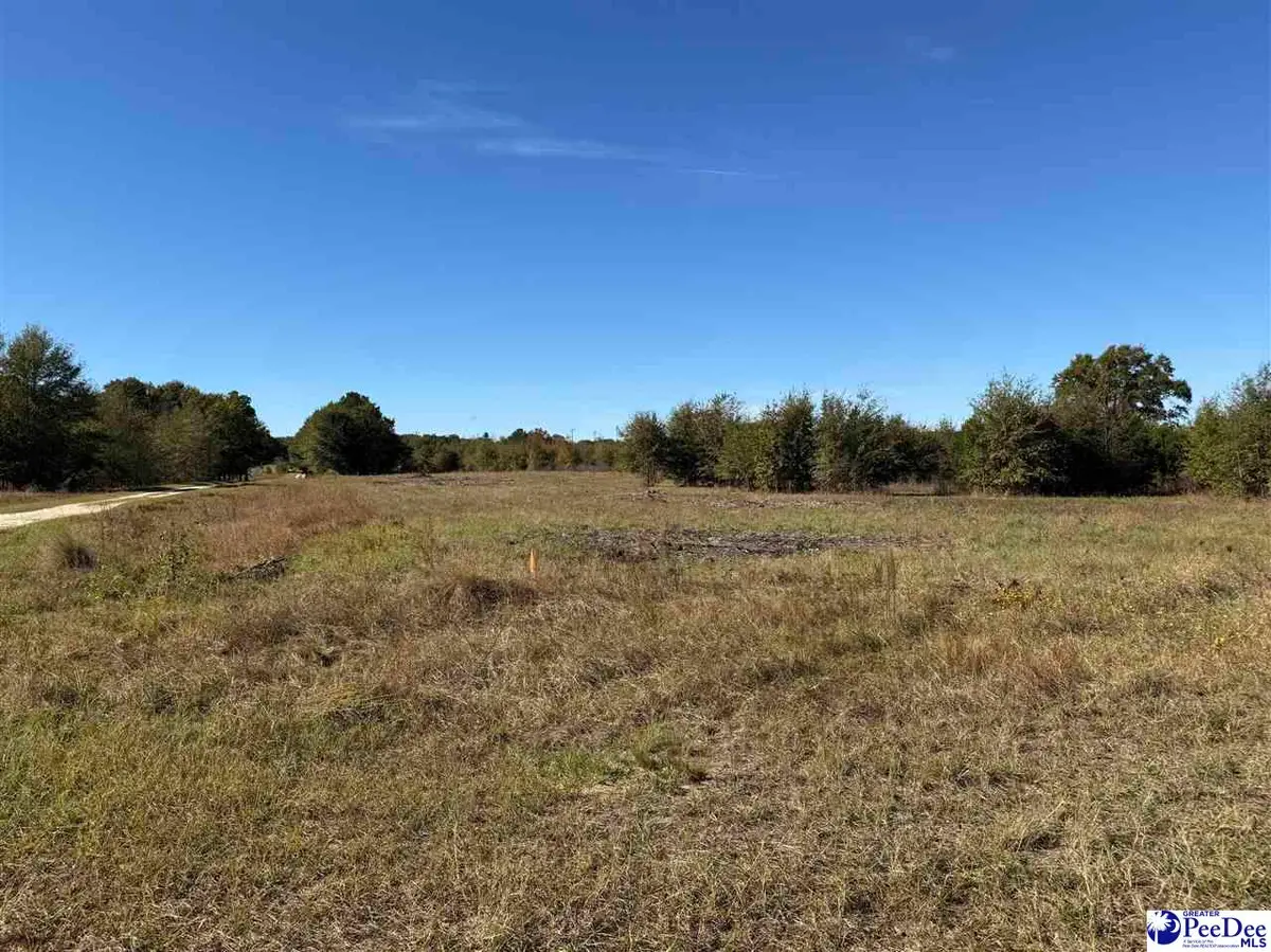 Lot 36 Norwood Farms, McBee, SC 29101 - Image #1