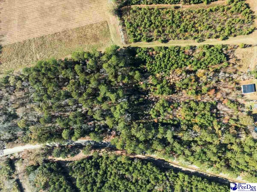 TBD Heatherwood Road, Marion, SC 29571 - Image #2