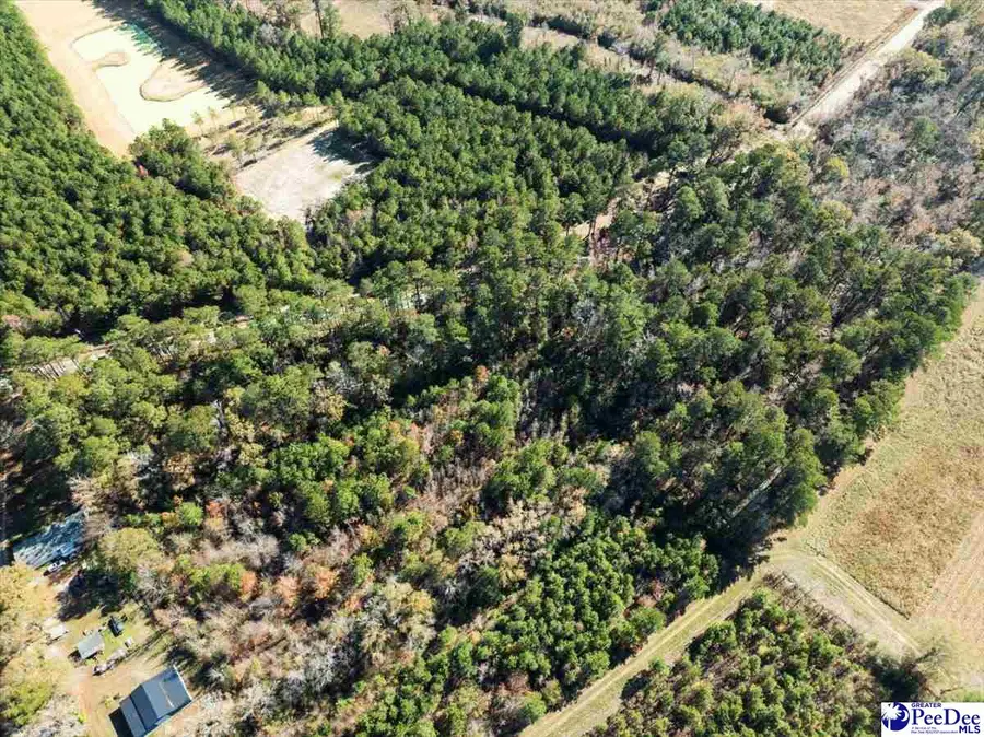 TBD Heatherwood Road, Marion, SC 29571 - Image #3
