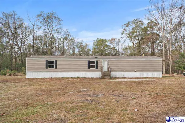 6909 Candy Buck Ln, Effingham, SC 29541-7761