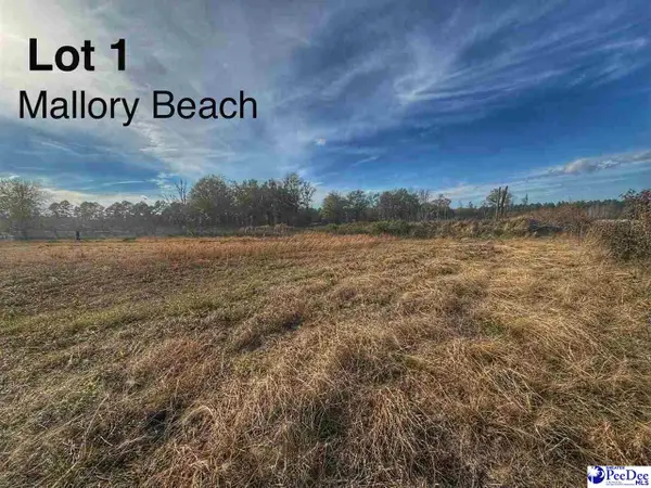 Lot 1 Mallory Beach Road, Latta, SC 29565
