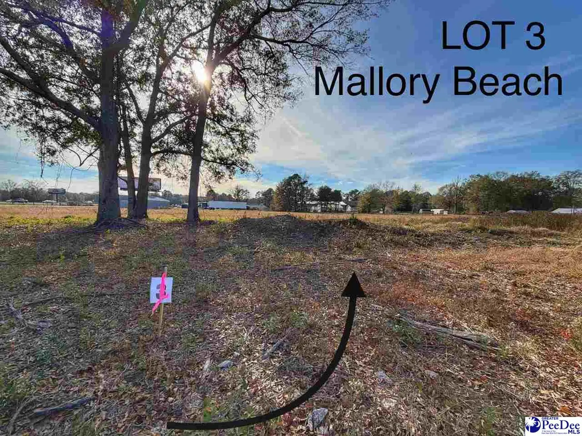 Lot 3 S-17-917(mallory Beach Road), Latta, SC 29565 - Image #1