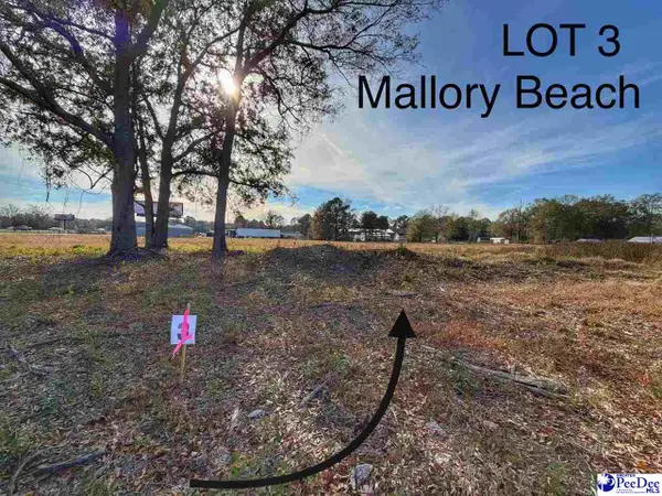 Lot 3 S-17-917(mallory Beach Road), Latta, SC 29565