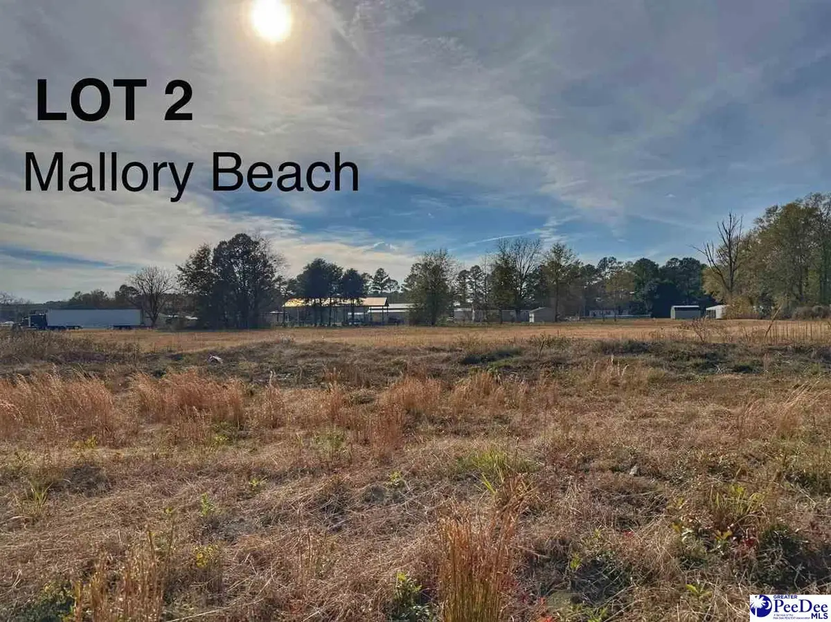 Lot 2 Mallory Beach Road, Latta, SC 29565 - Image #1