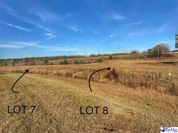 Lot 7 Mallory Beach Road, Latta, SC 29565