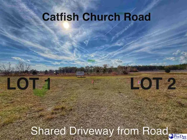 Lot 1 Catfish Church Road, Latta, SC 29565