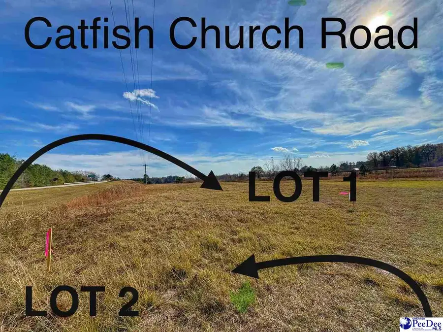 Lot 2 Catfish Church Road, Latta, SC 29565 - Image #2