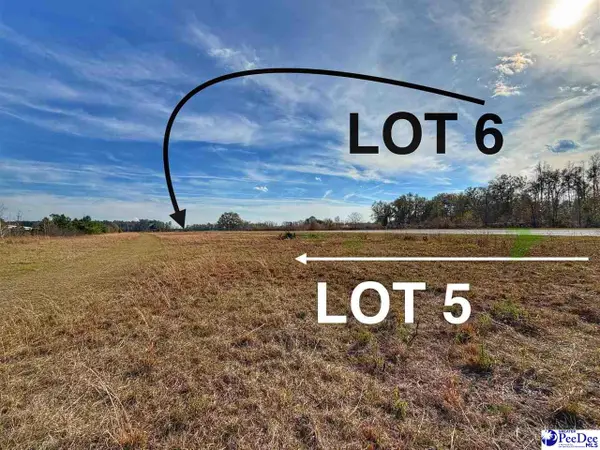 Lot 5 Mallory Beach Road, Latta, SC 29565