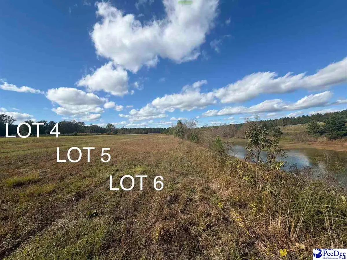 Lot 6 Mallory Beach Road, Latta, SC 29565 - Image #1