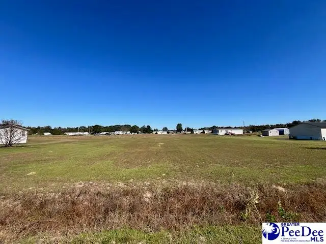 TBD Catfish Court, Latta, SC 29565 - Image #2