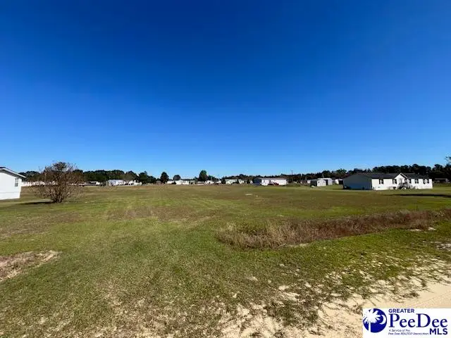 TBD Catfish Court, Latta, SC 29565 - Image #3