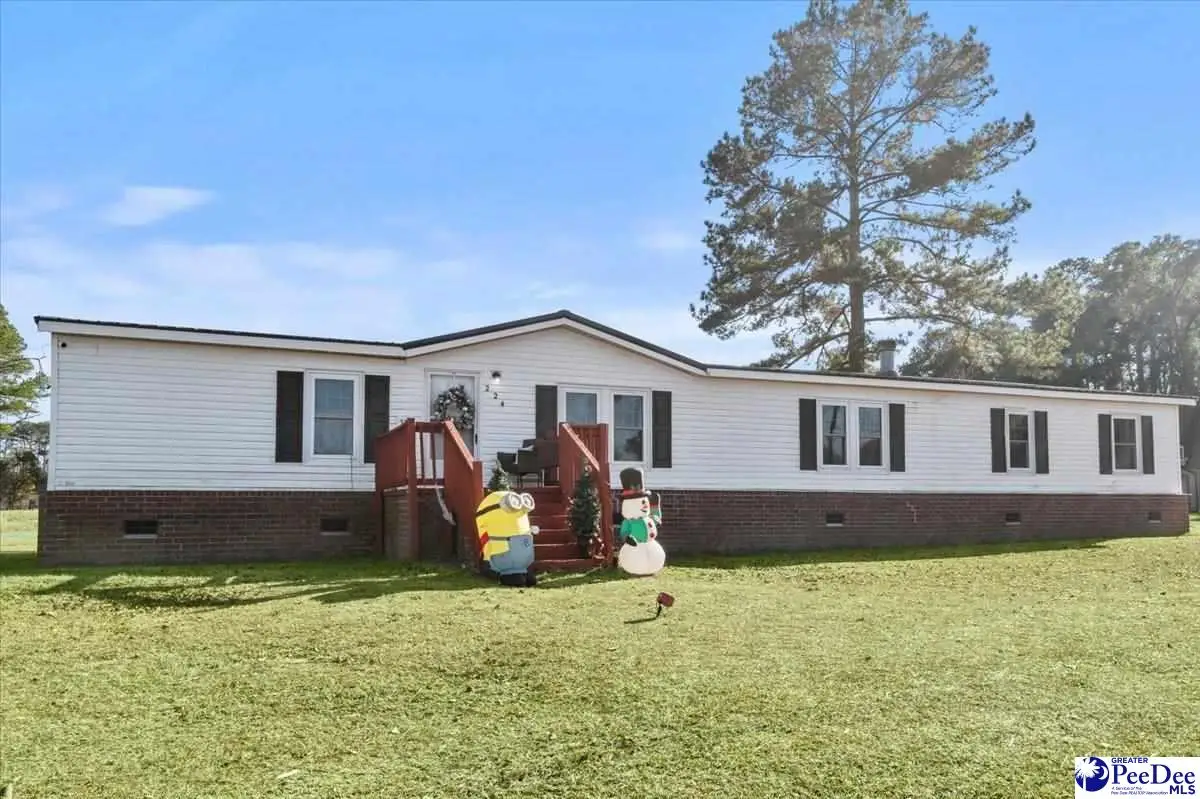 224 Blue Street, Darlington, SC 29532 - Image #1