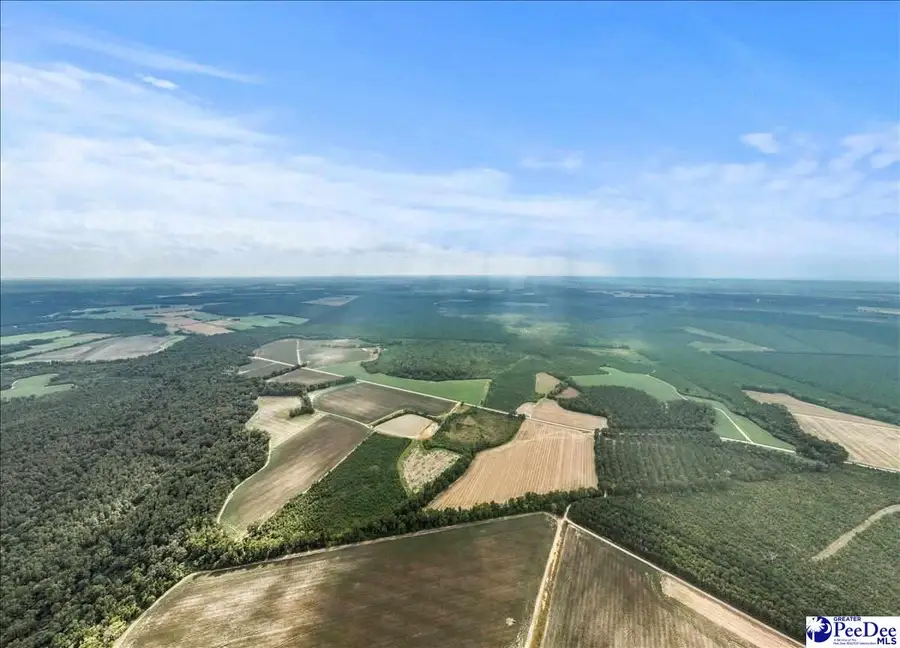 1000 W Sellers Rd, Sellers, SC 29592 - Image #3
