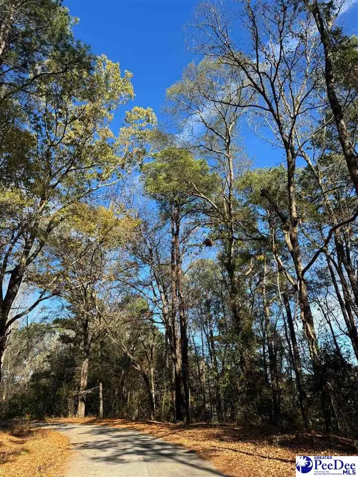 TBD Wilson Street, Society Hill, SC 29583 - Image #1