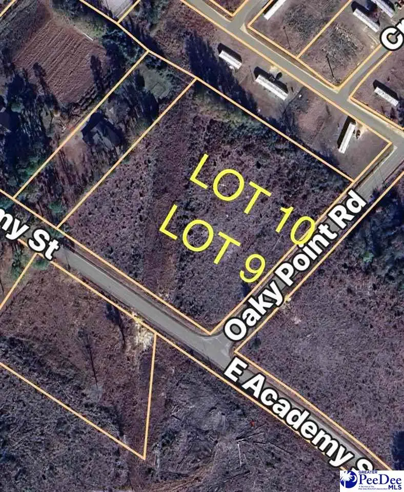 Lot 10 Oaky Point Road, Latta, SC 29565 - Image #1
