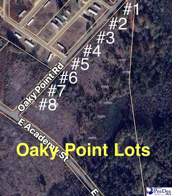 Lot 1 Oaky Point Road, Latta, SC 29565