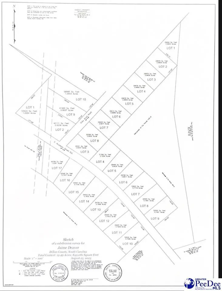 Lot 13 E Academy Street Ext., Latta, SC 29565 - Image #2