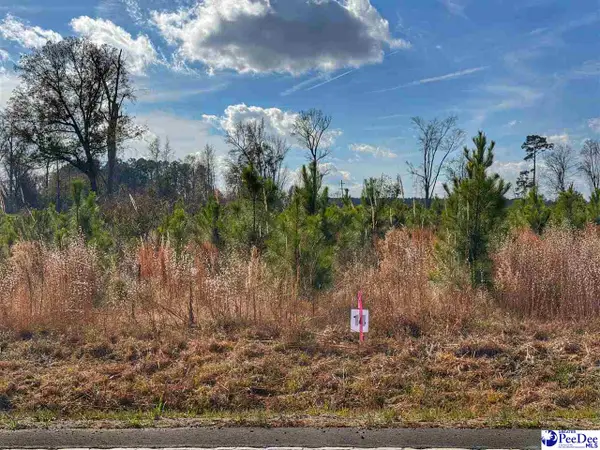 Lot 14 E Academy Street Ext., Latta, SC 29565