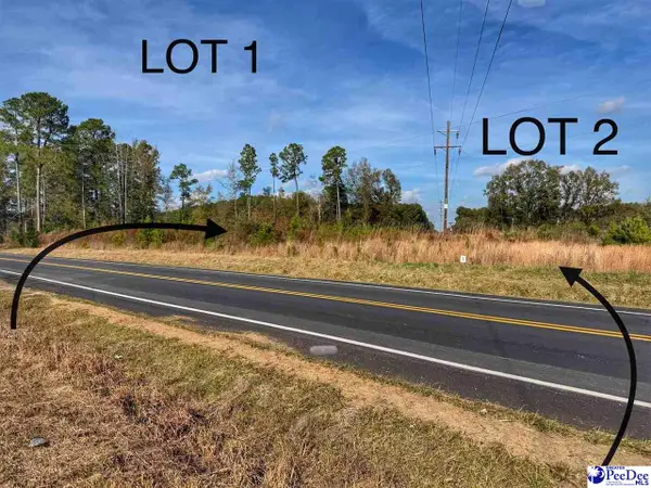 Lot 1 E Academy Street Ext., Latta, SC 29565