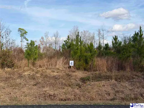 Lot 4 E Academy Street Ext., Latta, SC 29565