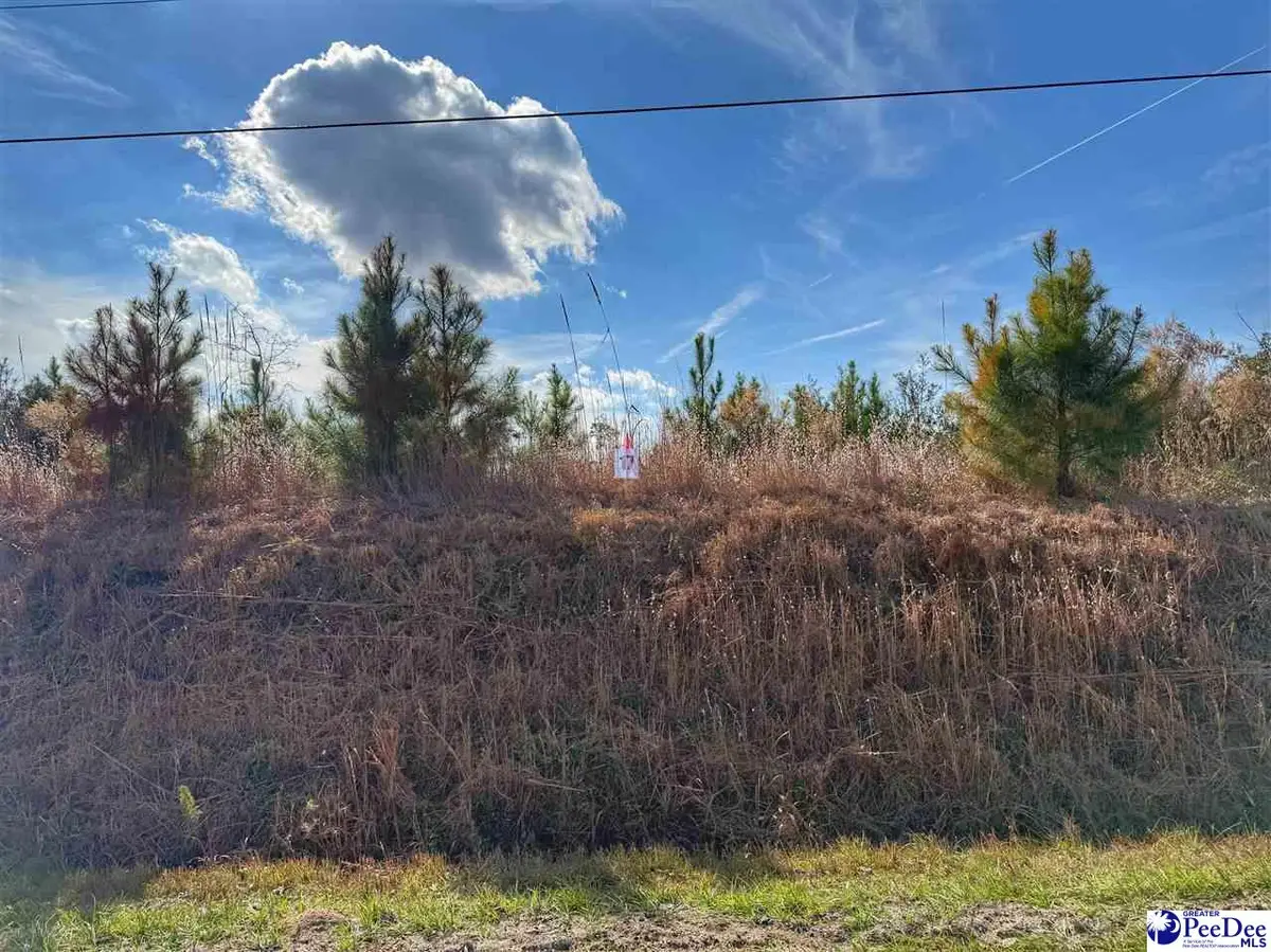 Lot 17 E Academy Street Ext., Latta, SC 29565 - Image #1