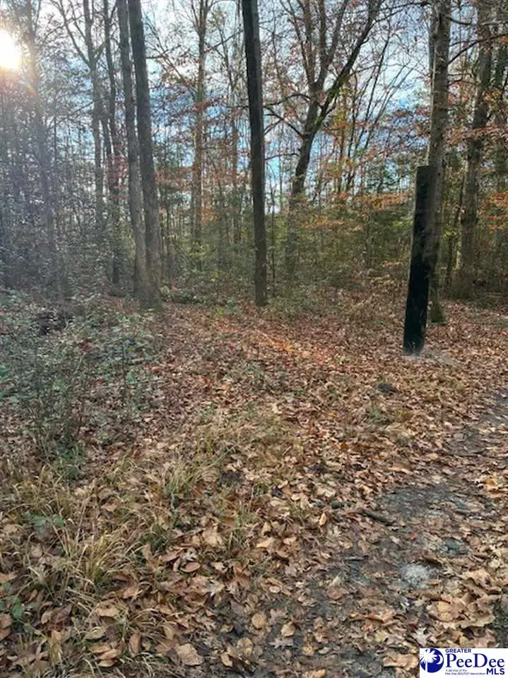 TBD Black Creek Road, Florence, SC 29501 - Image #3